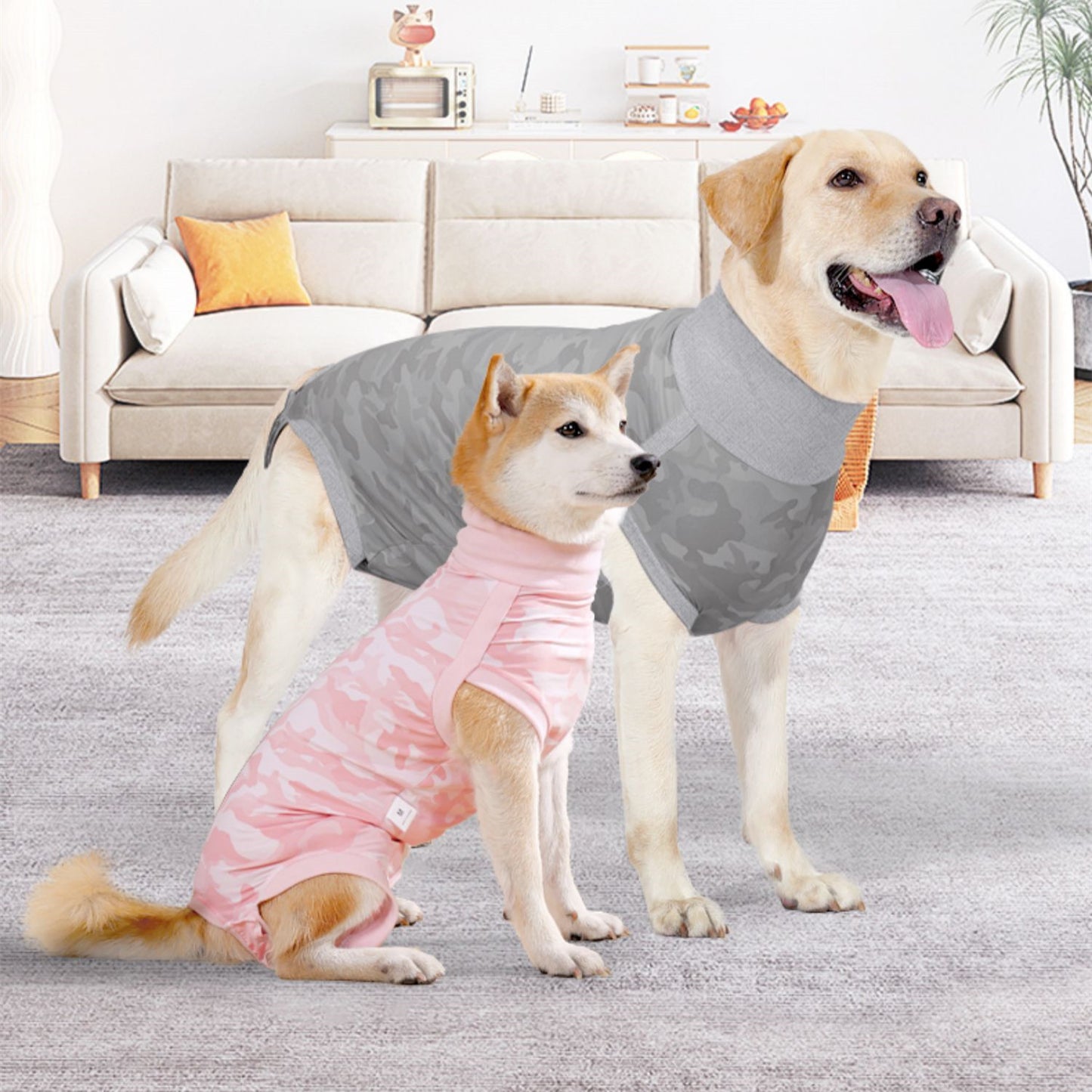 Recovery Suit for Dogs