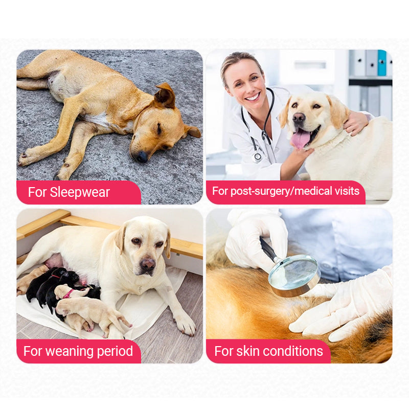 Recovery Suit for Dogs