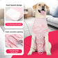 Recovery Suit for Dogs