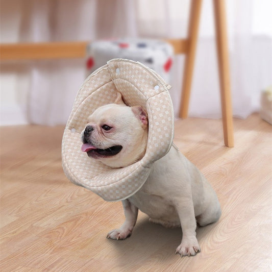Dog Elizabeth Recovery Collar
