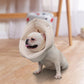 Dog Elizabeth Recovery Collar