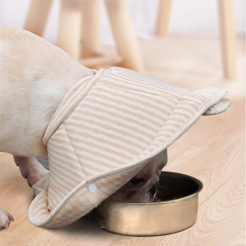 Dog Elizabeth Recovery Collar