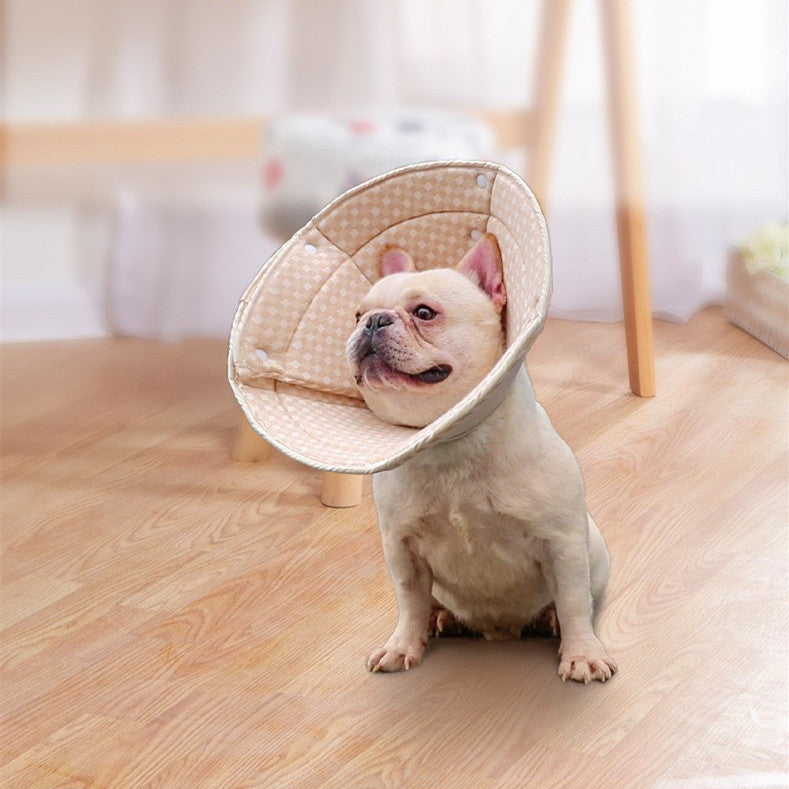 Dog Elizabeth Recovery Collar