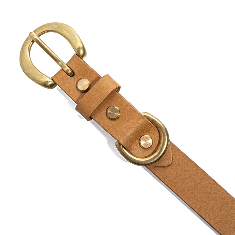 Leather Collars for Animals