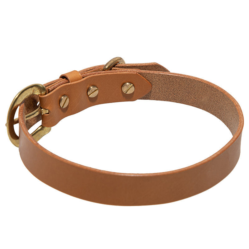 Leather Collars for Animals